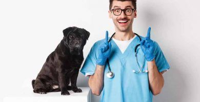 nombres para clinicas veterinarias